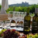 Countryside Half Day Wine Tour near Vienna - The Value for Money