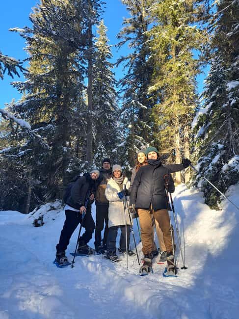 Courchevel: Snowshoeing or Nordic Walking - Who This Tour Is Perfect For