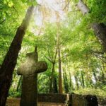 Courtown Woodland Guided Tour - Who Will Love This Tour?
