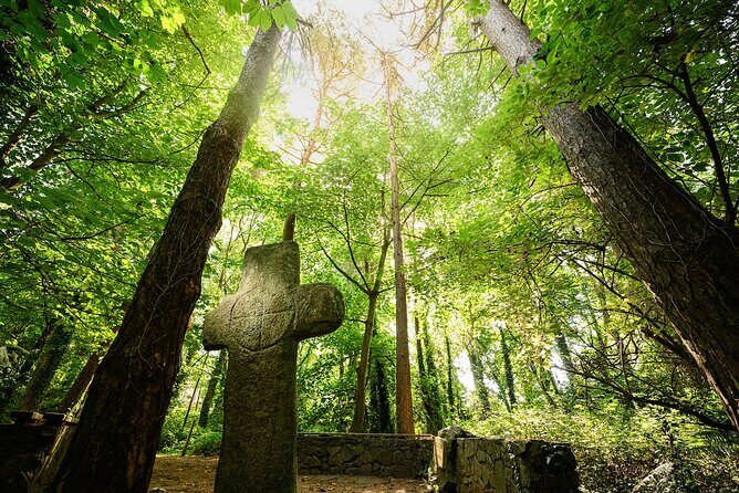 Courtown Woodland Guided Tour - Who Will Love This Tour?