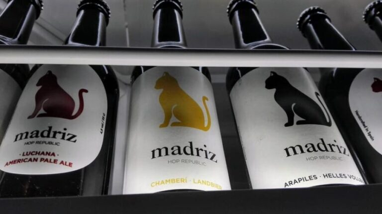 Craft-Beer and Tapas Tour in Madrid - Who Will Love This Tour?