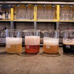 Craft Beer Tasting and tapas in Valencia - A Deep Dive Into the Experience