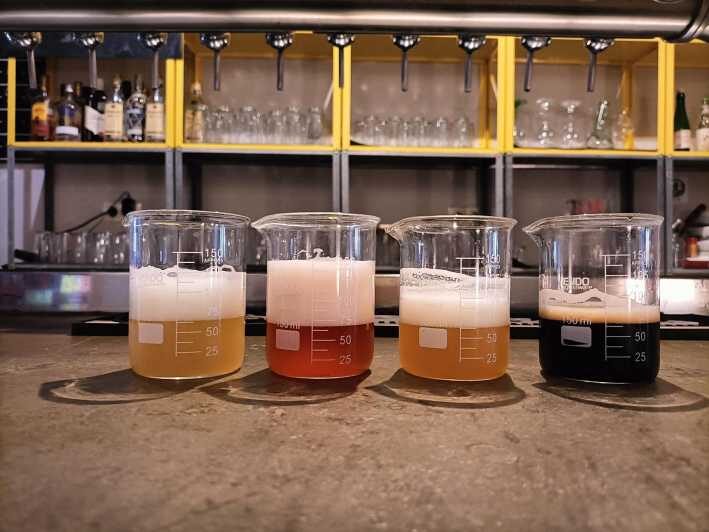 Craft Beer Tasting and tapas in Valencia - A Deep Dive Into the Experience