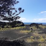 Crater Lakes Adventure: Sete Cidades & Lagoa do Fogo Day Tour - FAQ