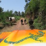 Craters of Fire - 4X4 Full-Day Tour - Who Should Book This Tour?