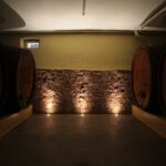 Crazy senses! - Why This Experience Is Worth It