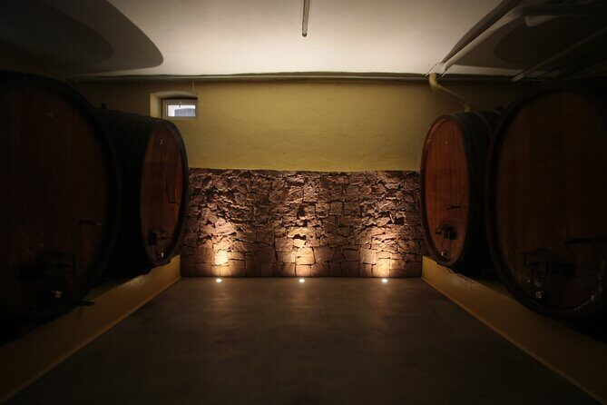 Crazy senses! - Why This Experience Is Worth It