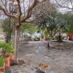 Cretan Traditional Village Assites, with food and drinks - Final Thoughts: Is This Tour Right for You?