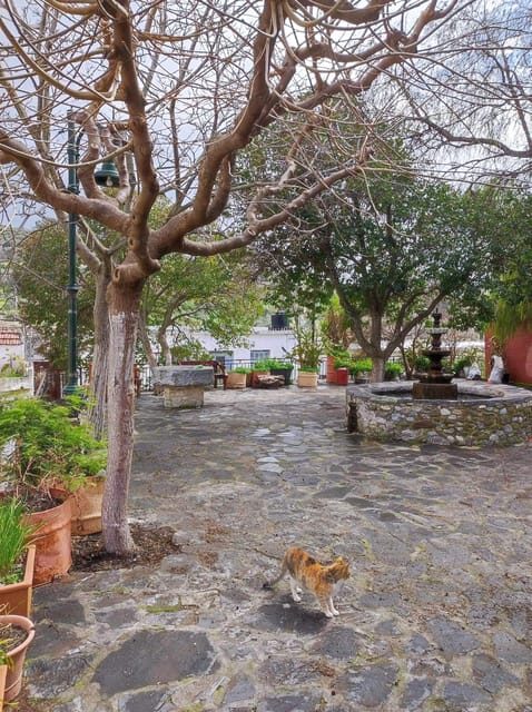 Cretan Traditional Village Assites, with food and drinks - Final Thoughts: Is This Tour Right for You?