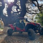 Crete: Buggy Safari with Lunch - FAQs
