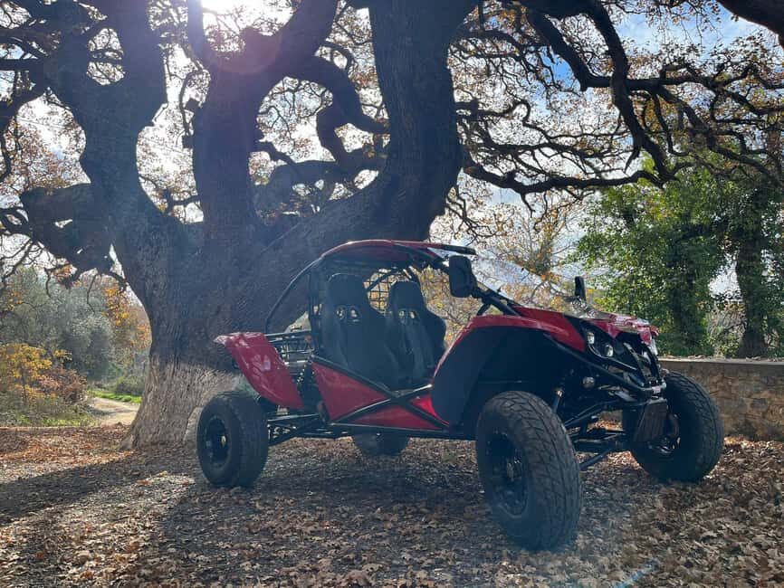 Crete: Buggy Safari with Lunch - FAQs