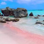 Crete: Day Trip to Elafonisi Beach with Hotel Transfers - What Makes Elafonisi Special