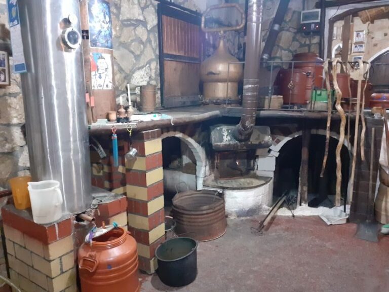 Crete: Full-Day Cretan Wines, Olive Oil, Raki and Food Tour - The Itinerary Breakdown