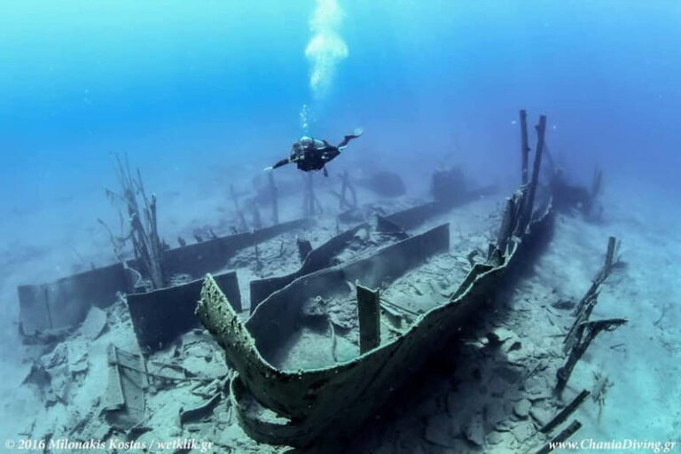 Crete: Guided Diving Experience for Certified Divers - Final Thoughts: Who Will Get the Most from This Tour?