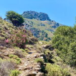 Crete: Guided Hiking Tour, Kavousi Canyon & Swimming - The Value of the Experience