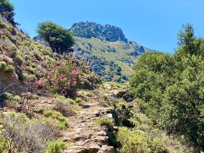 Crete: Guided Hiking Tour, Kavousi Canyon & Swimming - The Value of the Experience