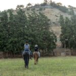 Crete Horse Riding: Cretan Countryside Ride - The Scenic Highlights