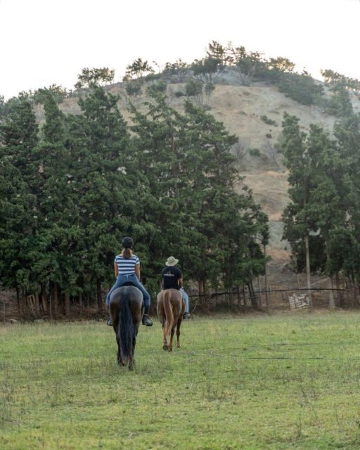 Crete Horse Riding: Cretan Countryside Ride - The Scenic Highlights