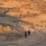 Crete Horse Riding: East Coastline Ride - Who Will Love This Experience?