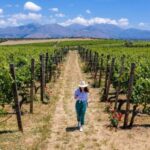 Crete: Knossos Palace and Archanes with Wine Tasting Tour - What This Tour Means for You