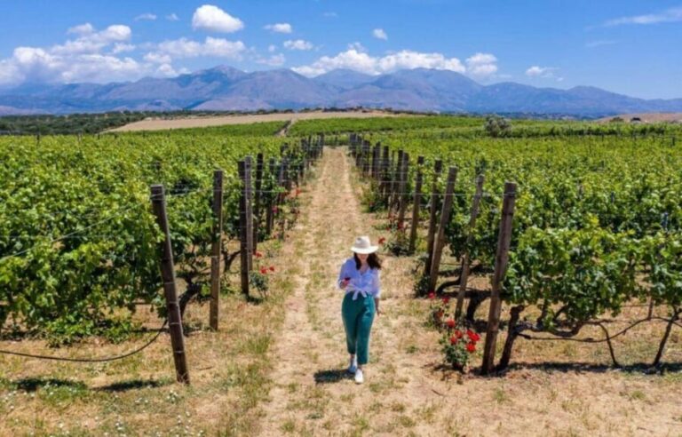 Crete: Knossos Palace and Archanes with Wine Tasting Tour - What This Tour Means for You