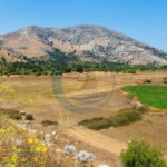 Crete: Knossos Palace, Lasithi, Olive Oil Factory Tour - Authentic Encounters and Honest Impressions