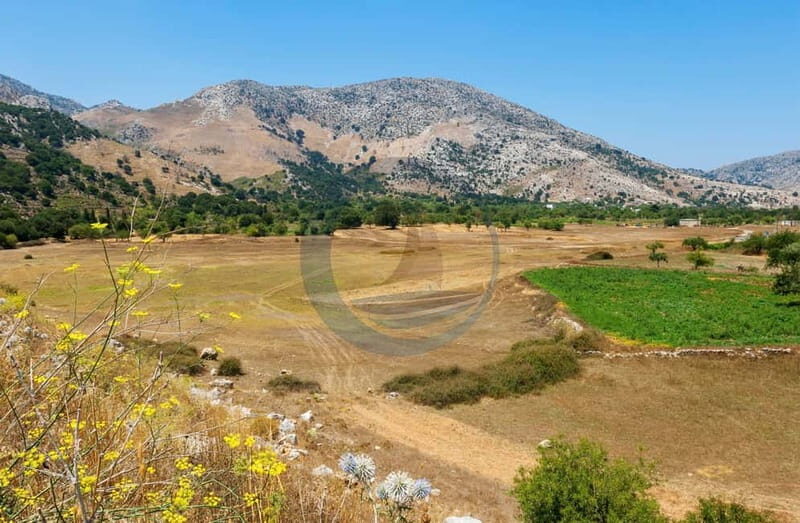 Crete: Knossos Palace, Lasithi, Olive Oil Factory Tour - Authentic Encounters and Honest Impressions