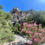 Crete: Kritsa Canyon Guided Hiking Tour - The Value of the Experience
