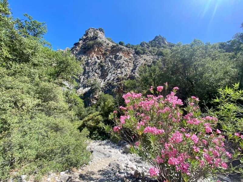 Crete: Kritsa Canyon Guided Hiking Tour - The Value of the Experience