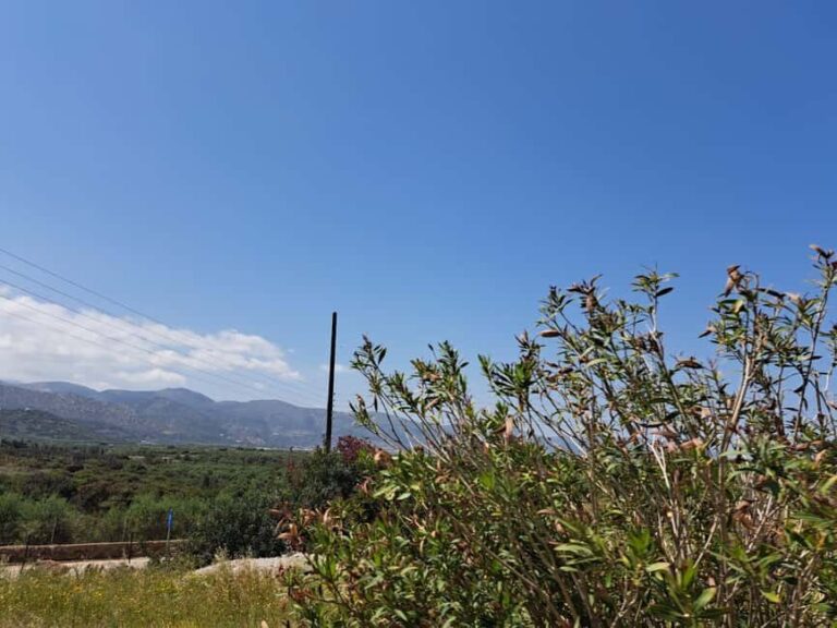 Crete: Malia, Potamos Beach, and Sissi Tuk Tuk Tour - FAQs