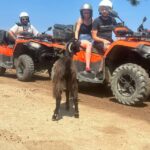Crete: Quad Safari, Olive Mill with Tasting & Ghost Village - Why This Tour Works for Travelers