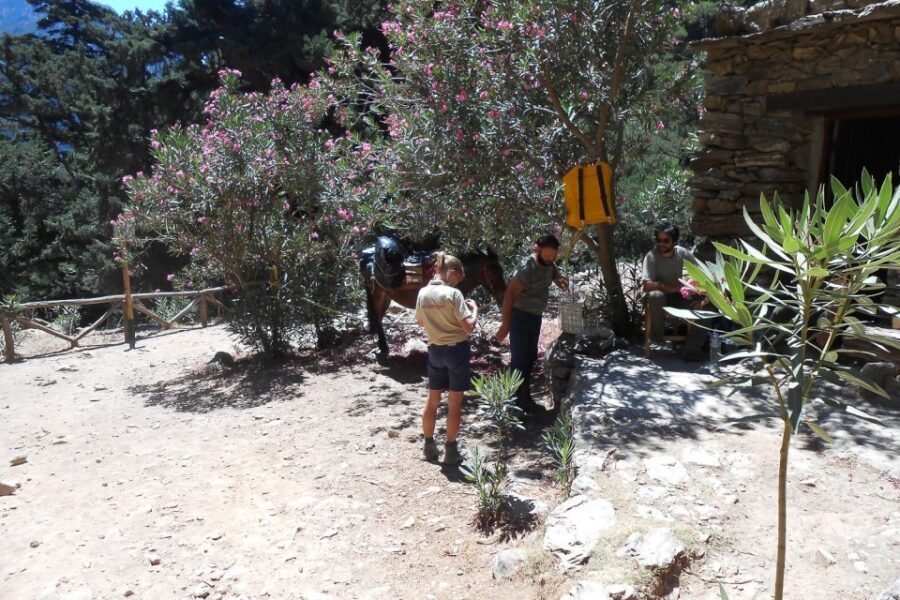 Crete: Samaria Gorge Hiking with transfer and expert Escort - Who Is This Tour Best For?