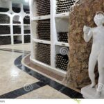 CRICOVA Winery tour with tasting from Chisinau - The Winery’s Unique Features