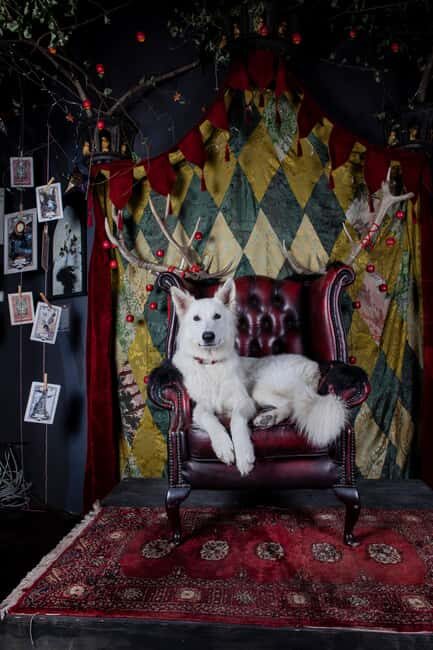 Croatia: Museum of Lost Tales - What Makes This Museum Special?