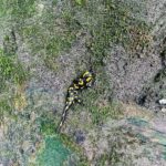 Croatia: Plitvice Lakes Private Tour with Hotel Pickup - The Itinerary: From Lower Lakes to Upper Wonders