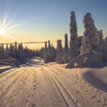 Cross-Country Skiing Guided Tour From Prague - Practical Details & Tips