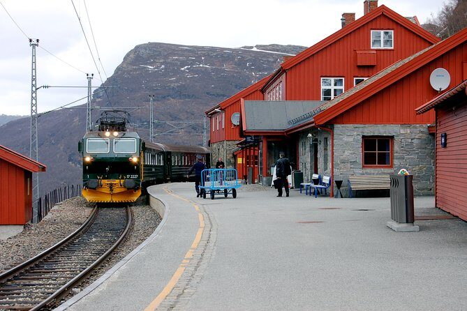 Cruise Special: Private Trip To Canyons And Waterfalls With Flåm Railway - Who Will Love This Tour?