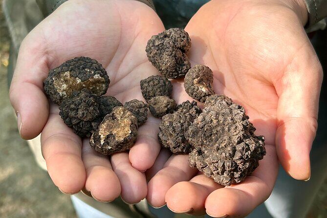 Culinary Adventure To The Fungi And Botanical Kingdom Of Bulgaria - The Authentic Value of This Tour