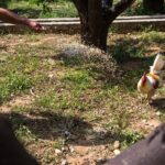 Culinary Agristory in Vathis - Kalymnos - Who Will Love This Tour?