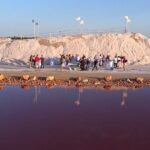 Culinary Demonstration and Gourmet Tasting Visit in Laguna Rosa - Who Should Consider This Tour?