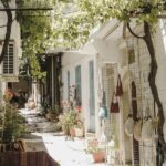 Culinary Journey to Lassithi Plateau. Land of Gods & Food Artistry from Elounda - Who Is This Tour Best Suited For?