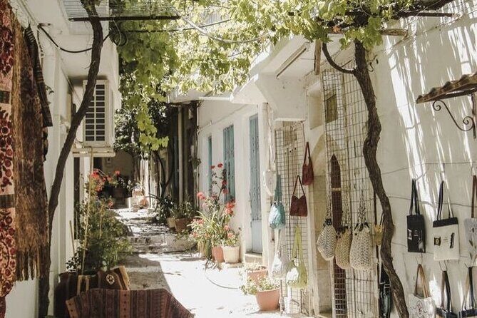 Culinary Journey to Lassithi Plateau. Land of Gods & Food Artistry from Elounda - Who Is This Tour Best Suited For?