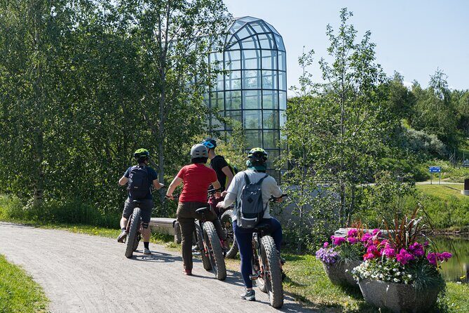 Cultural E-fatbike tour around Rovaniemi & Santa Claus Village - Who Is This Tour Best Suited For?