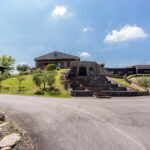 Cultural Tasting: 5 glasses with 5 food pairings - What You Can Expect from the Experience