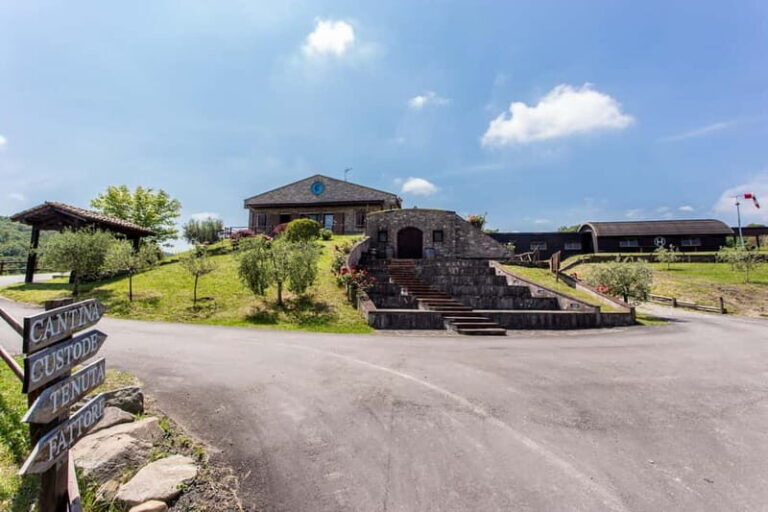 Cultural Tasting: 5 glasses with 5 food pairings - What You Can Expect from the Experience