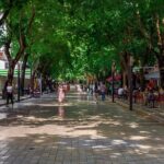 Cultural Tour in Tirana including House of Leaves - Cultural and Artistic Highlights