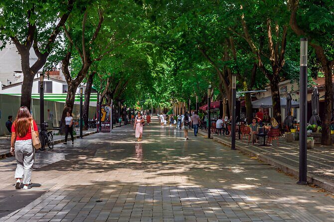 Cultural Tour in Tirana including House of Leaves - Cultural and Artistic Highlights