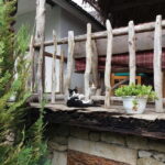 Curchi Monastery, Old Orhei and Cricova Winery (Optional) - Who Would Love This Tour?