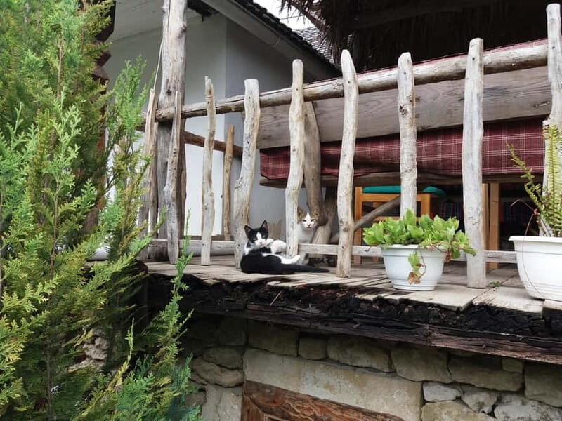 Curchi Monastery, Old Orhei and Cricova Winery (Optional) - Who Would Love This Tour?