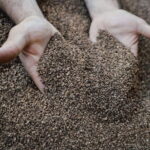 Cured Meat & Olive Oil Tasting & Visit near Pisa & Livorno - The Tour Itinerary: What You Can Expect